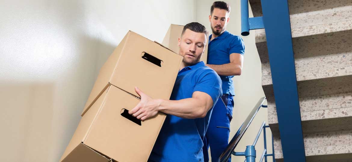 services